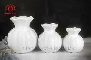 lo-hoa-su-trang-mau-19