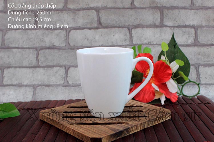 Cốc Trắng Thóp Thấp